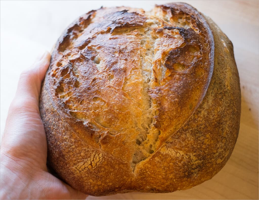 Tartine Sourdough Wheat Germ Experiment