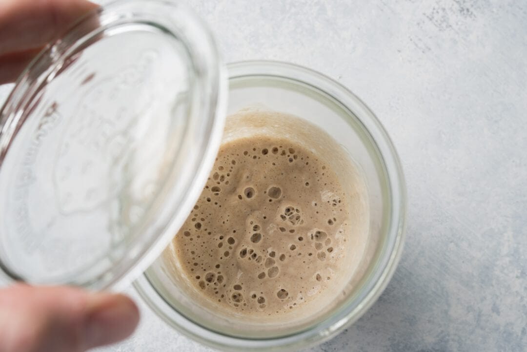7 Easy Steps to Making an Incredible Sourdough Starter From Scratch via @theperfectloaf