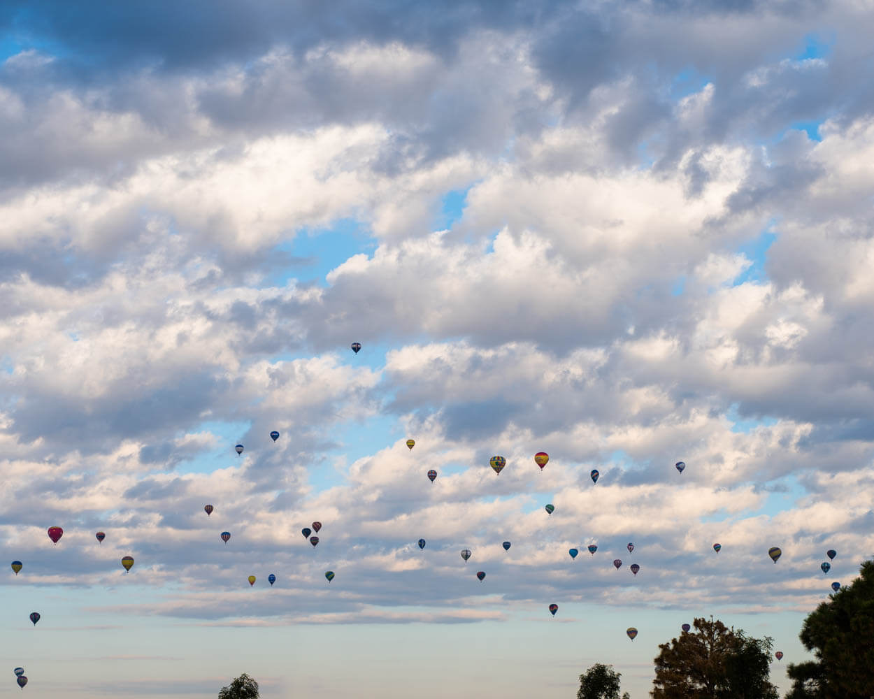 International Balloon Fiesta