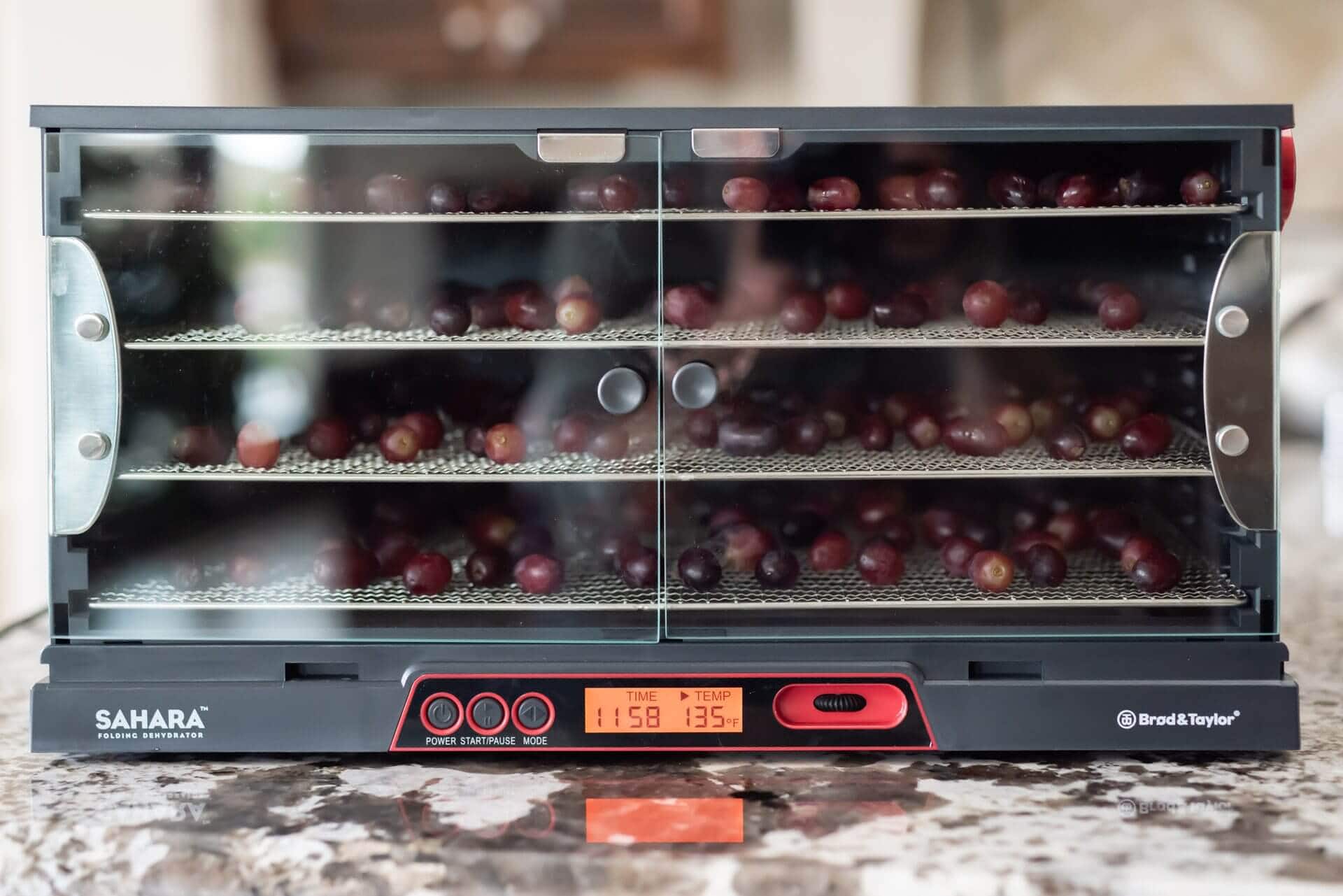 Brød and Taylor Sahara Food Dehydrator