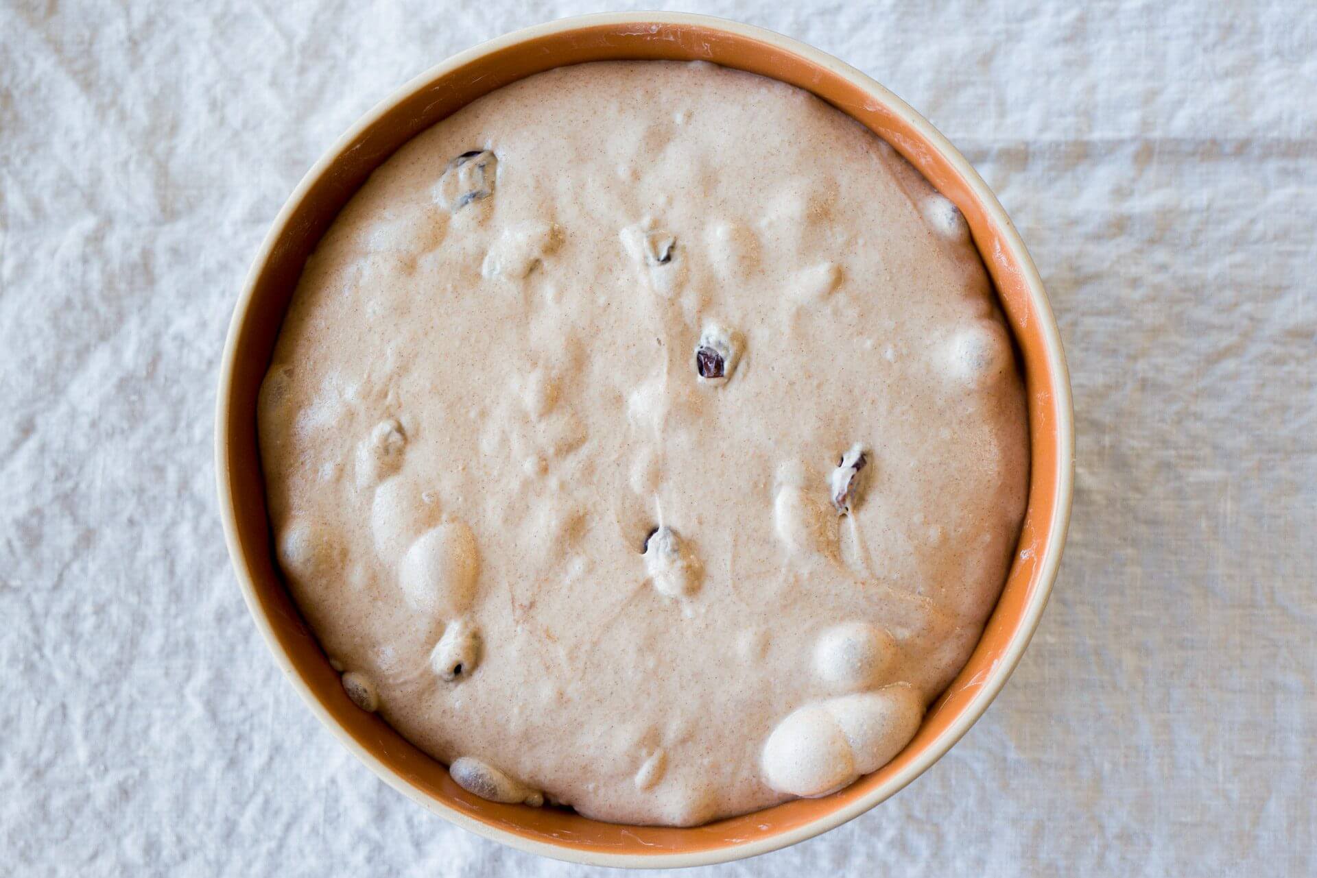 Cinnamon Raisin Sourdough at end of bulk fermentation via @theperfectloaf