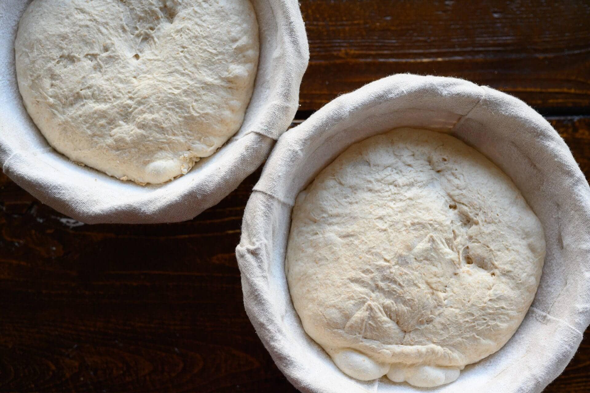Shaped malted wheat sourdough bread dough