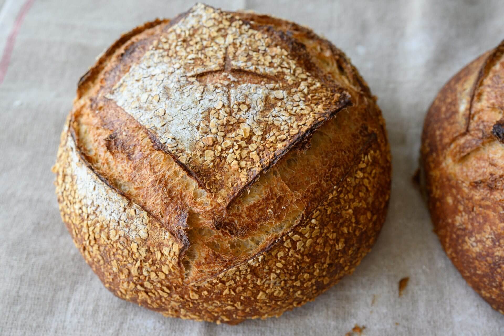 Sourdough boule crust