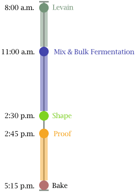 This image has an empty alt attribute; its file name is same-day-sourdough-with-all-purpose-flour-timeline-tall.png
