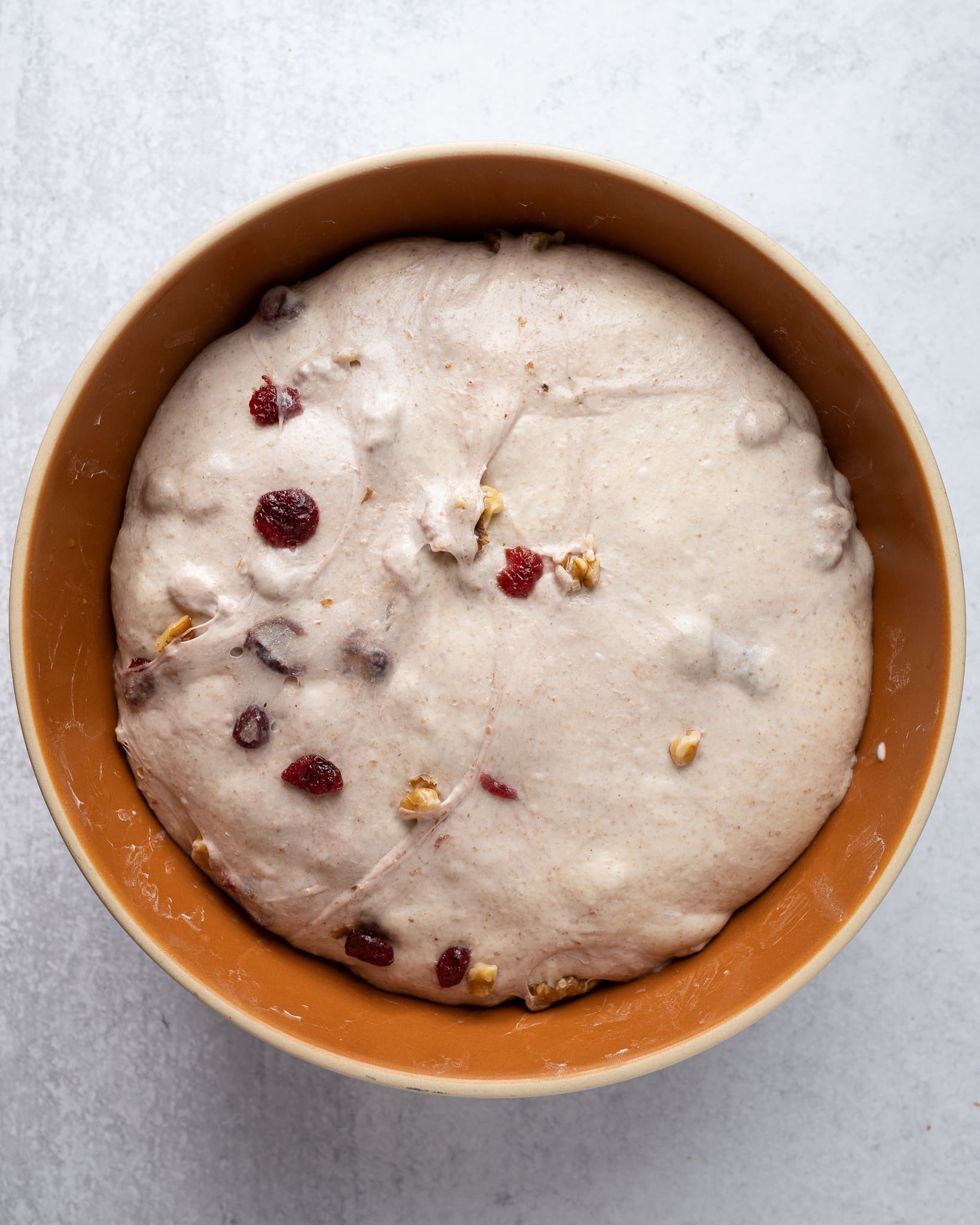 walnut cranberry sourdough at end of bulk fermentation
