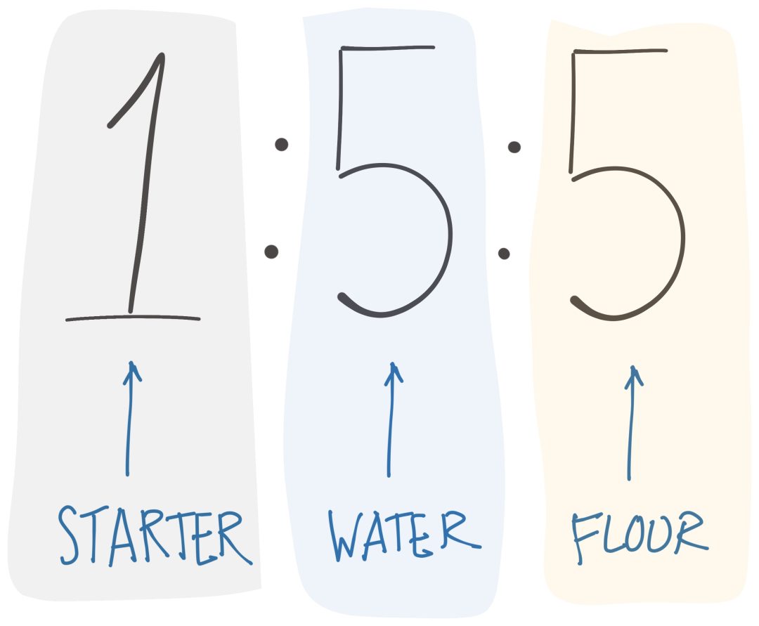 Sourdough starter ratio diagram