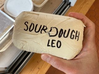 My panettone starter brought home from France.