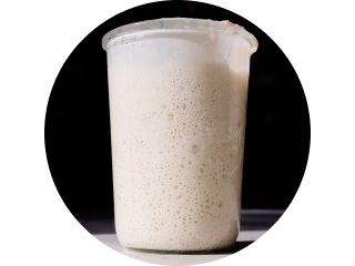 Sourdough starter circular icon.