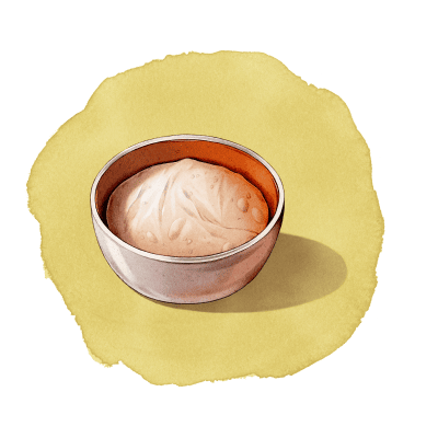 Bulk fermentation guide illustration