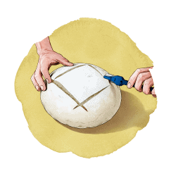 Illustration showing scoring bread dough.