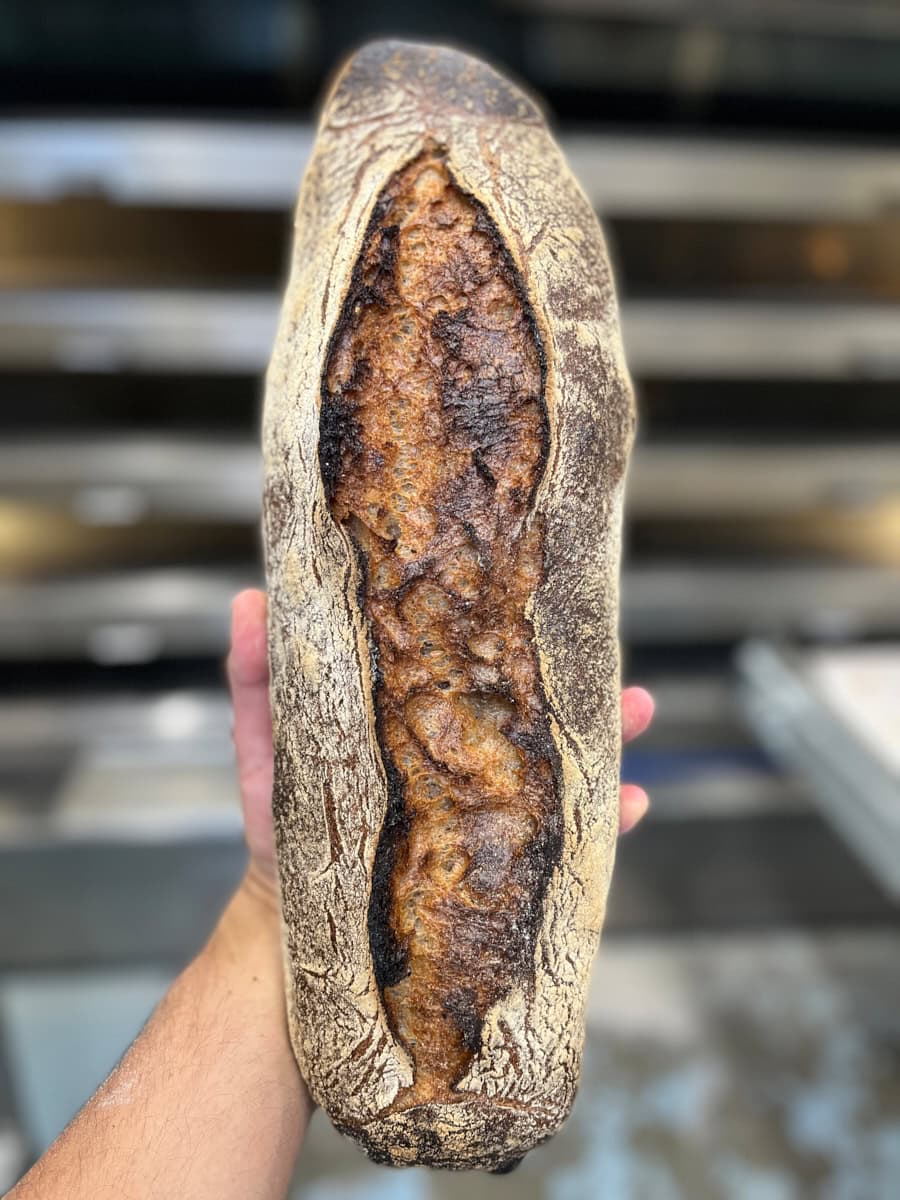 Long deeply colored loaf of sourdough bread.