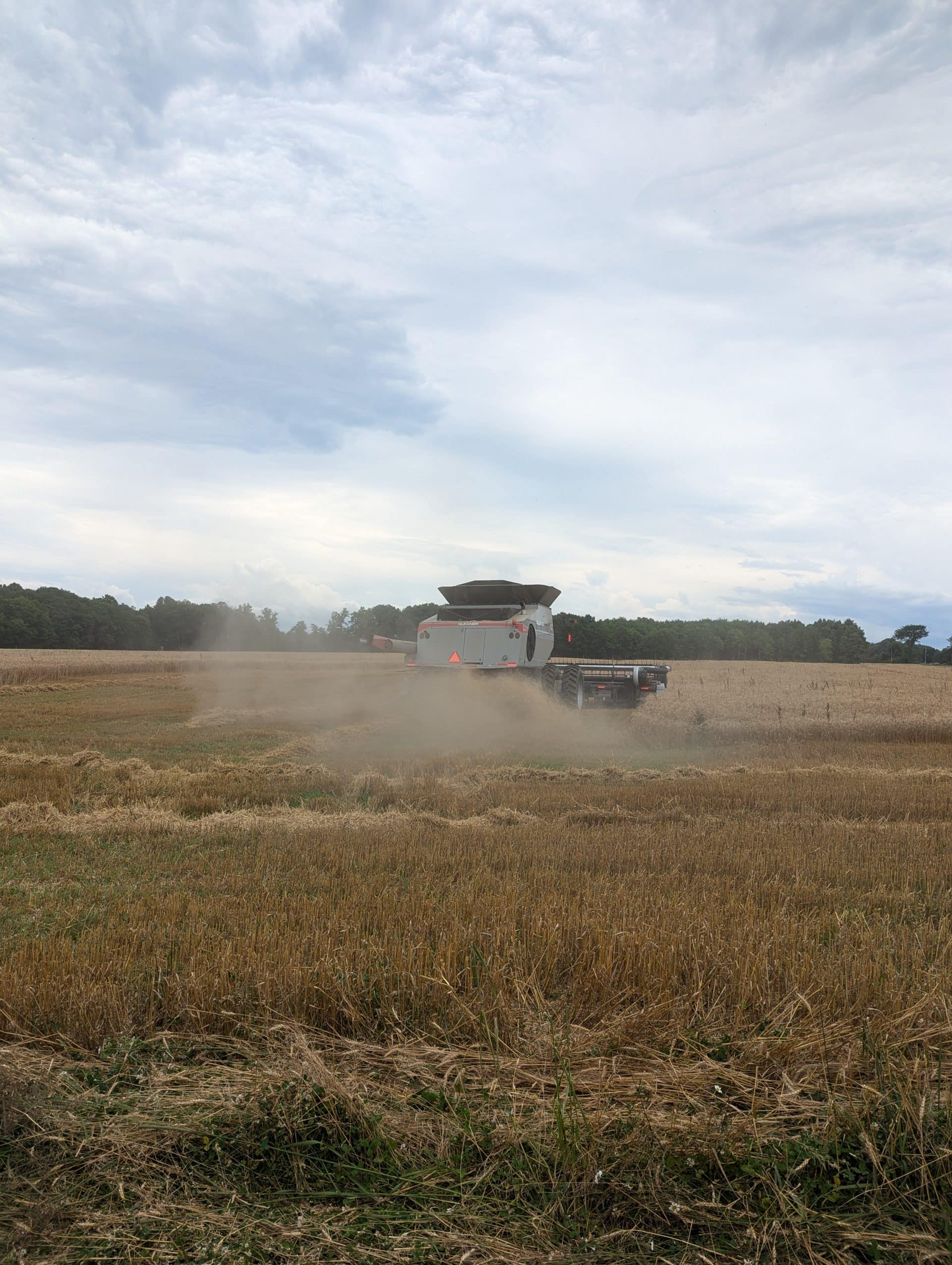 A large wheat harvester harvesting wheat.