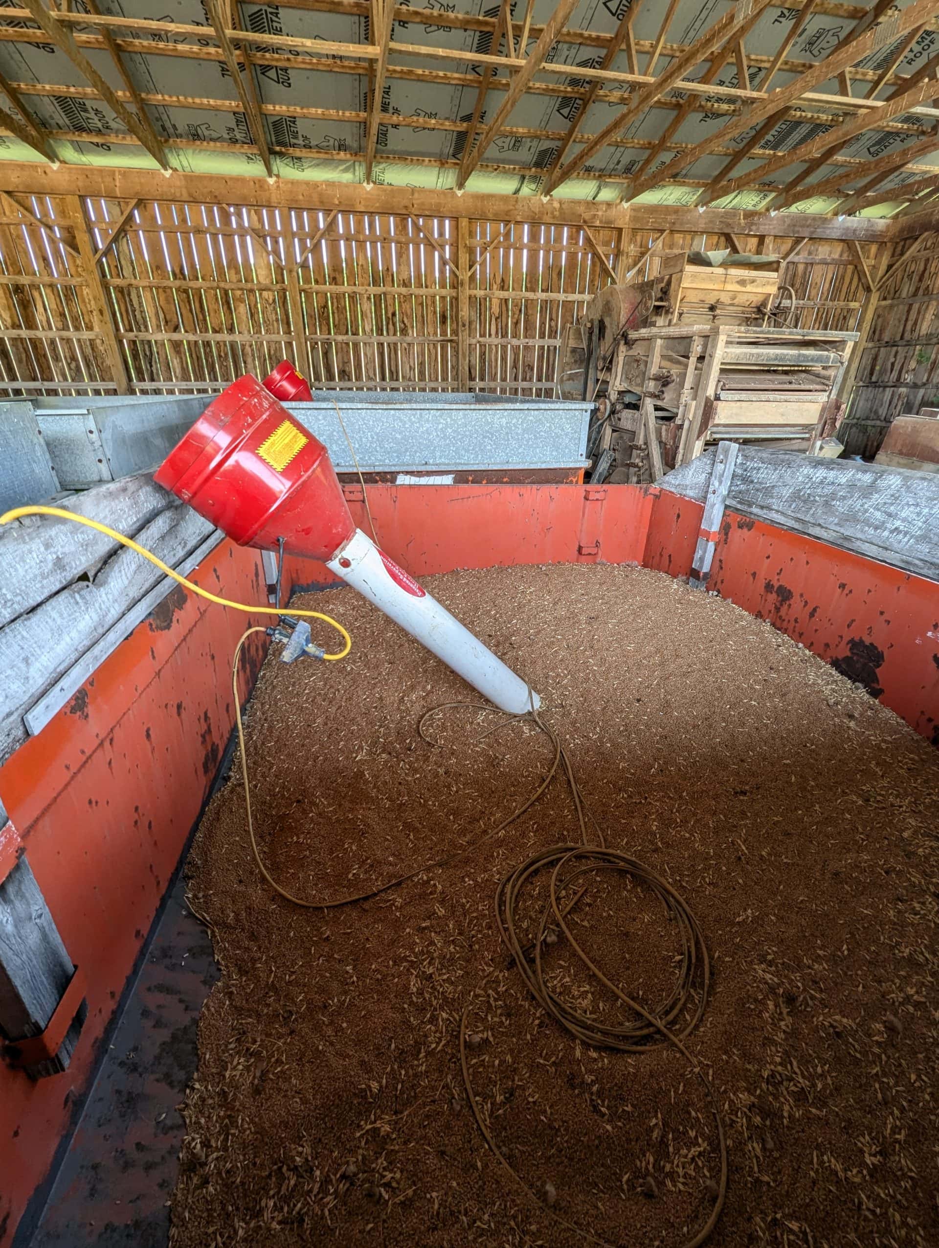 Glenn hard red spring wheat drying.
