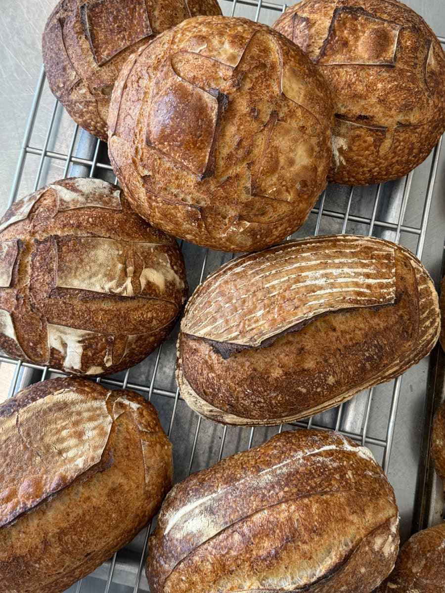 Sourdough bread made with Italian flour.