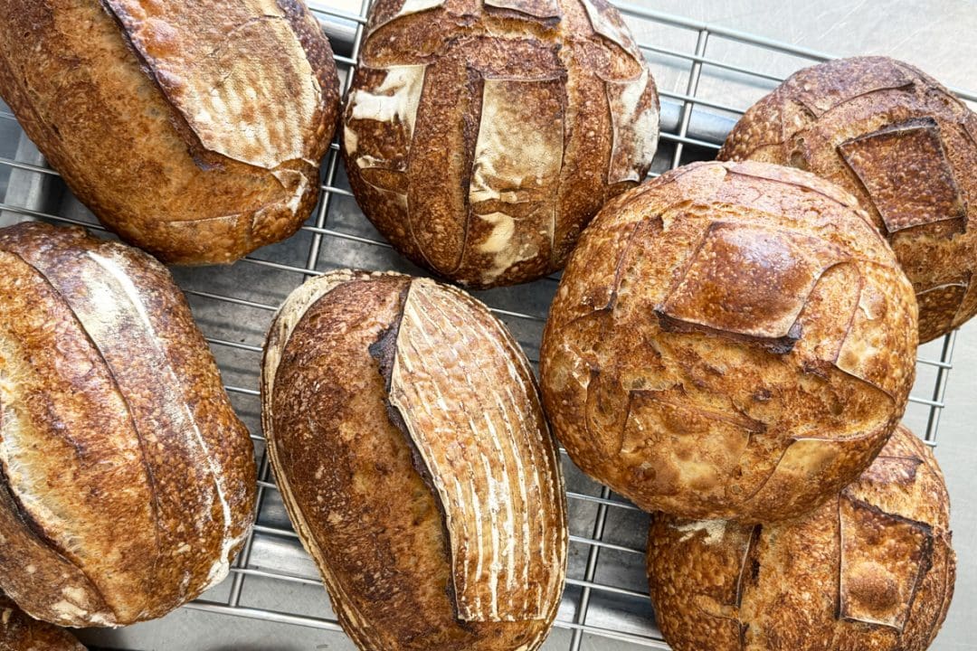 Bread baked in northern Italy.