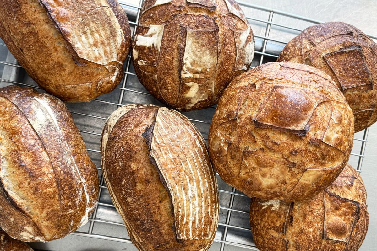 A Travelogue: Bread, Panettone, Pasta, and Cheese in Northern Italy